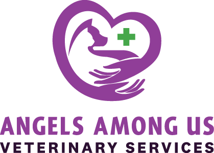 Angels Among Us Veterinary Services